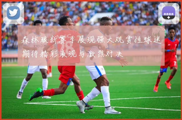 森林狼新赛季展现强大观赏性球迷期待精彩表现与激烈对决